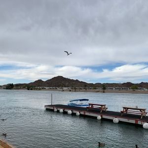 Meet your Posher, Stacey